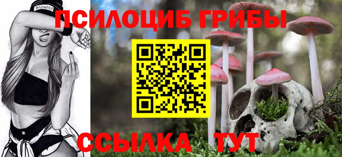 цены   Вход с VPN  Галлюциногенные грибы Psilocybe  Ногинск  Псилоцибиновые грибы Psilocybine cubensis 