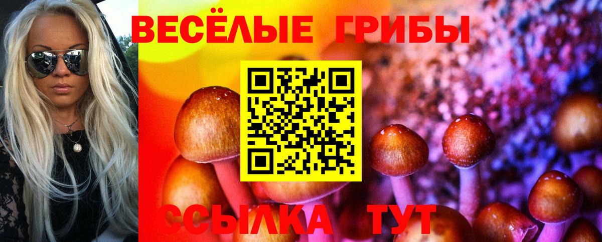 Галлюциногенные грибы Cubensis Ногинск